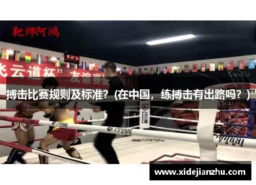搏击比赛规则及标准？(在中国，练搏击有出路吗？)